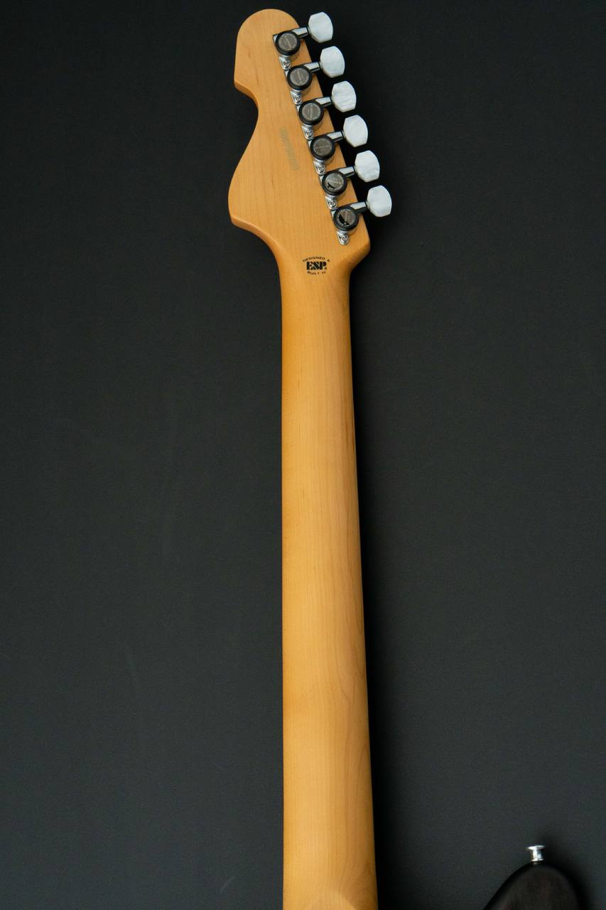 EDWARDS Platinum Edition KARMASTER 【滝 善充 Signature Model