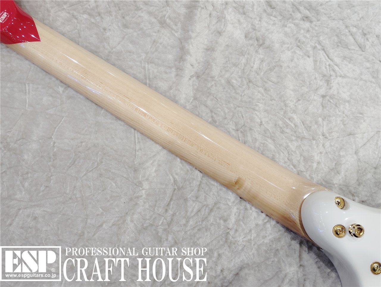 EDWARDS E-Flying Freiheit（新品/送料無料）【楽器検索デジマート】