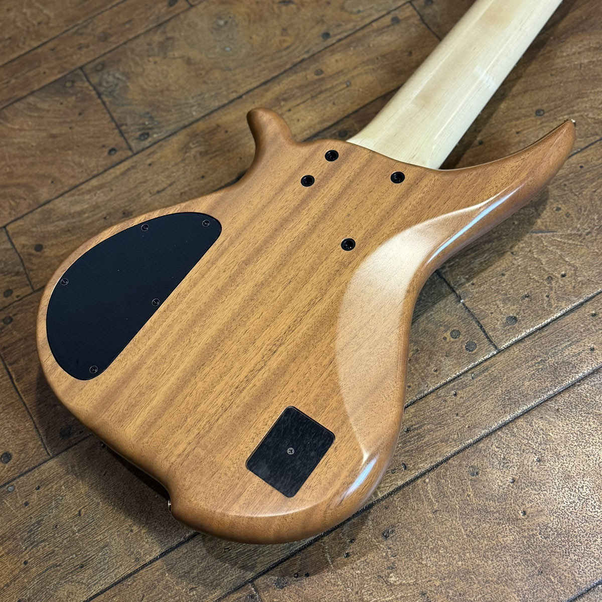 Tune TWB-6 EX HYB-III Buckeye Burl Top Custom Pickups（中古