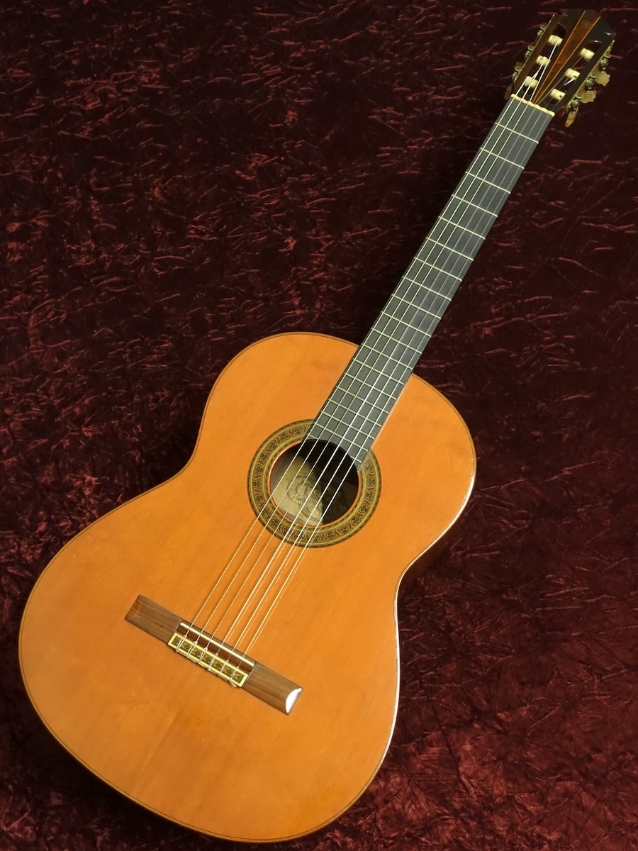 送料無料 通販 ファッション YAMAHA アコースティックギターGC-6D ギター