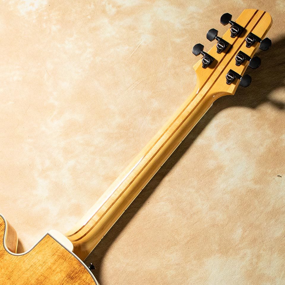 Kikuchi Guitars Archtop NY155 Ltd Exotic Blackwood（新品）【楽器