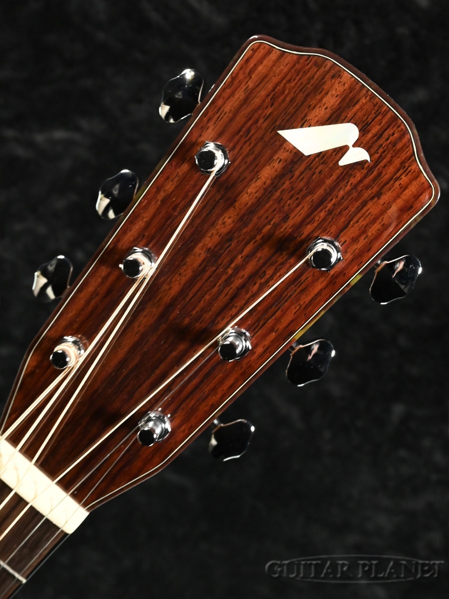 Morris 【2025 Limited Edition】FE-ART HAPPINESS BLOSSOM【ローン