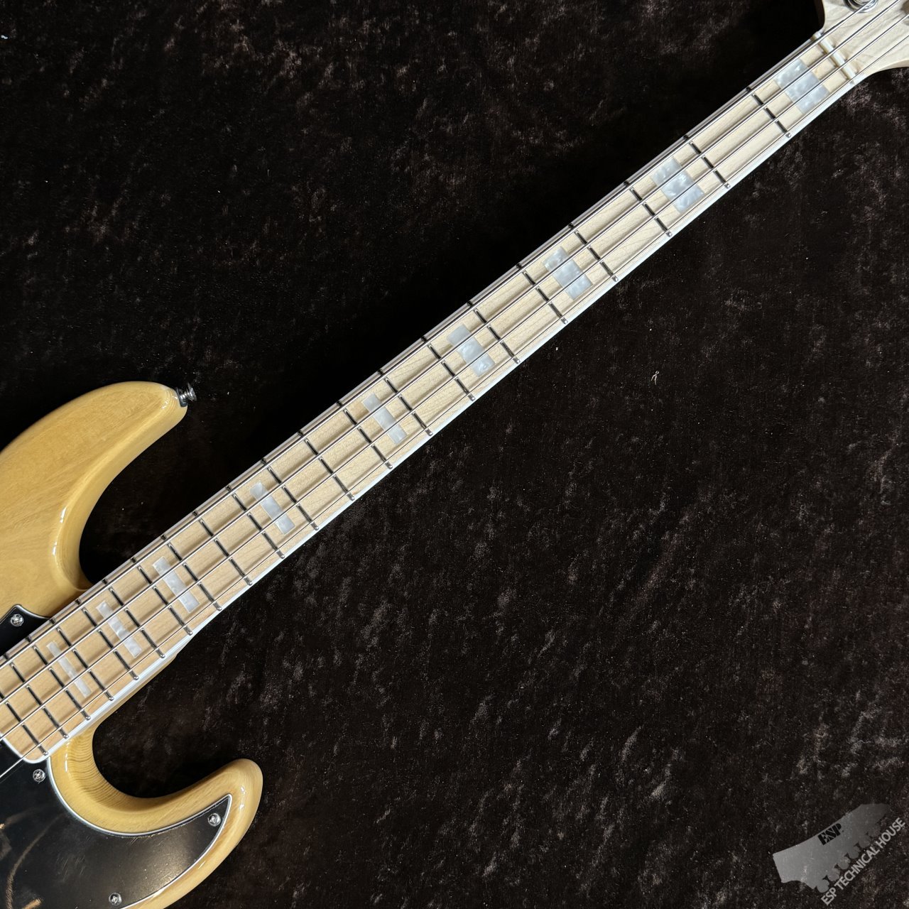 GrassRoots 【初心者セット】G-AMAZE【Vintage Natural】（新品/送料