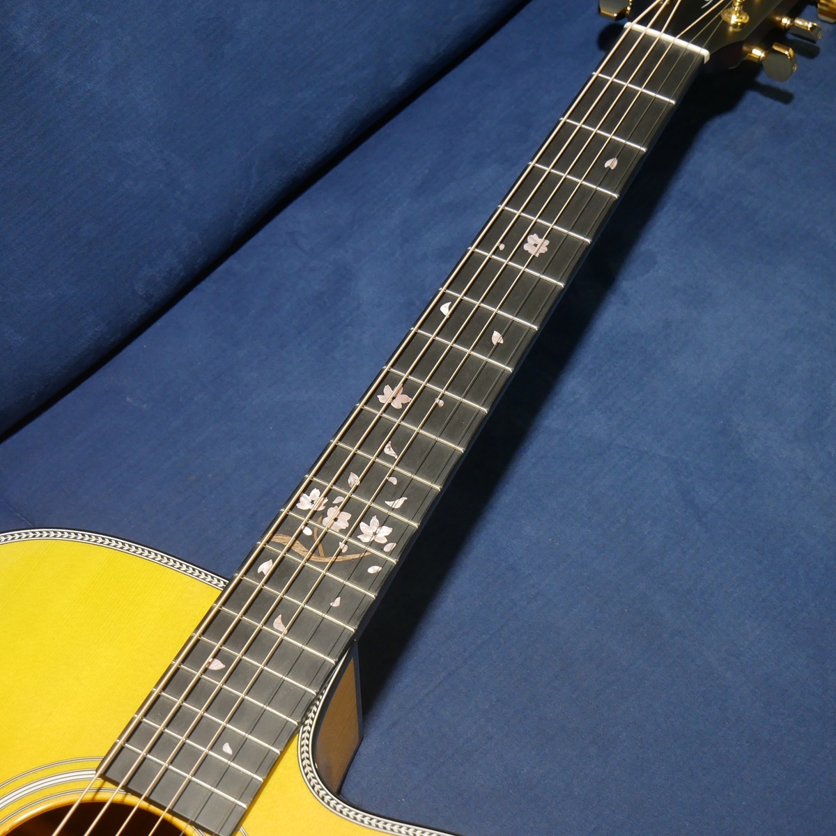 Headway HC-SHIKIZAKURA'26/STD / AP-GRD(Autumn Pearl Gradation