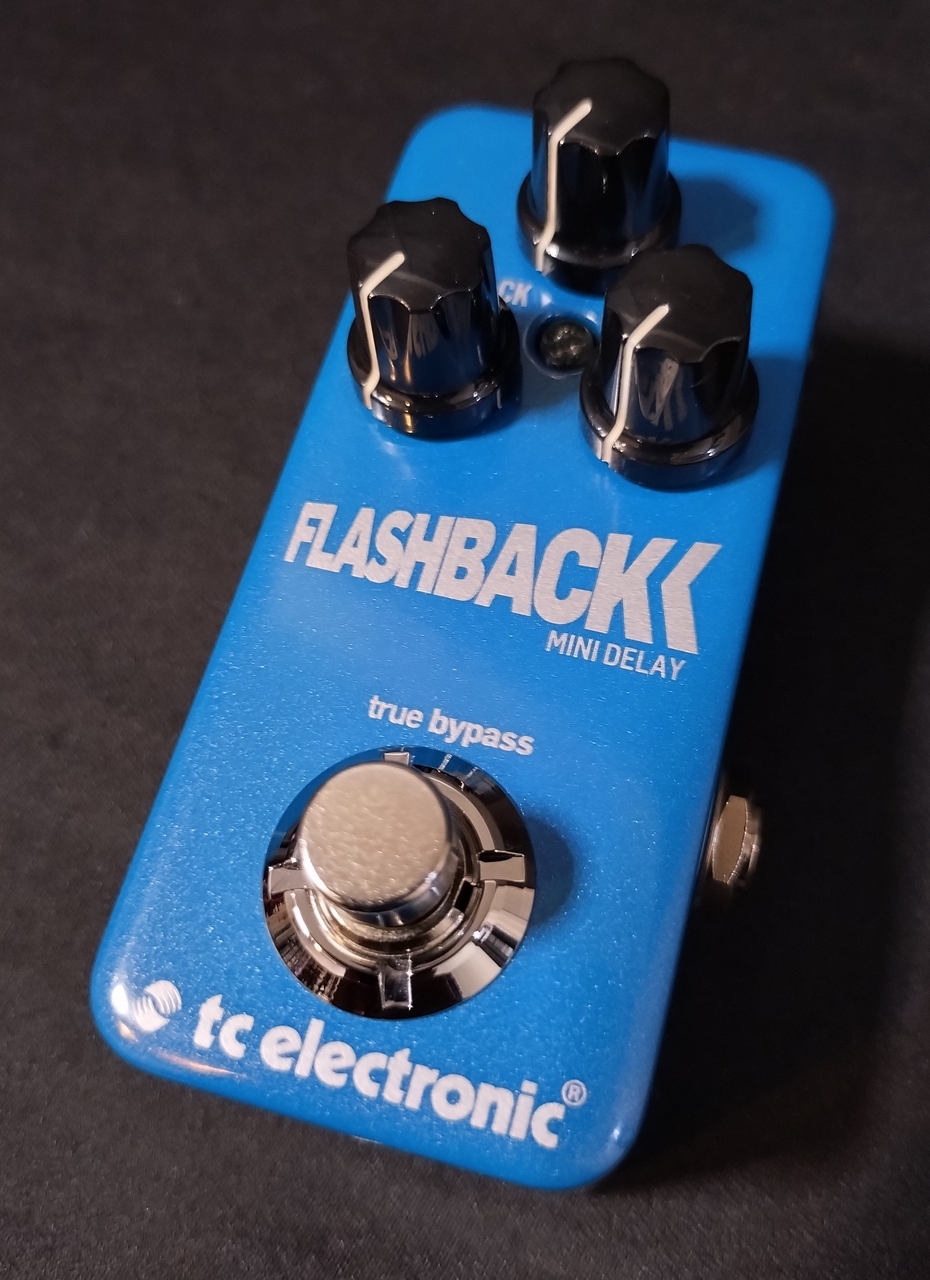 Amazon.com: TC Electronic FLASHBACK 2 MINI DELAY Legendary