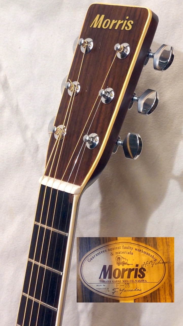 Morris F-25（中古）【楽器検索デジマート】