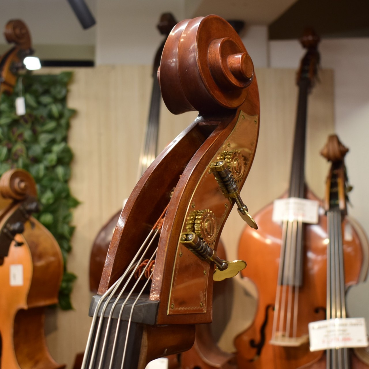 Gliga Gems II Violin Shape/C.Back 5st 3/4 size【地下コントラバス