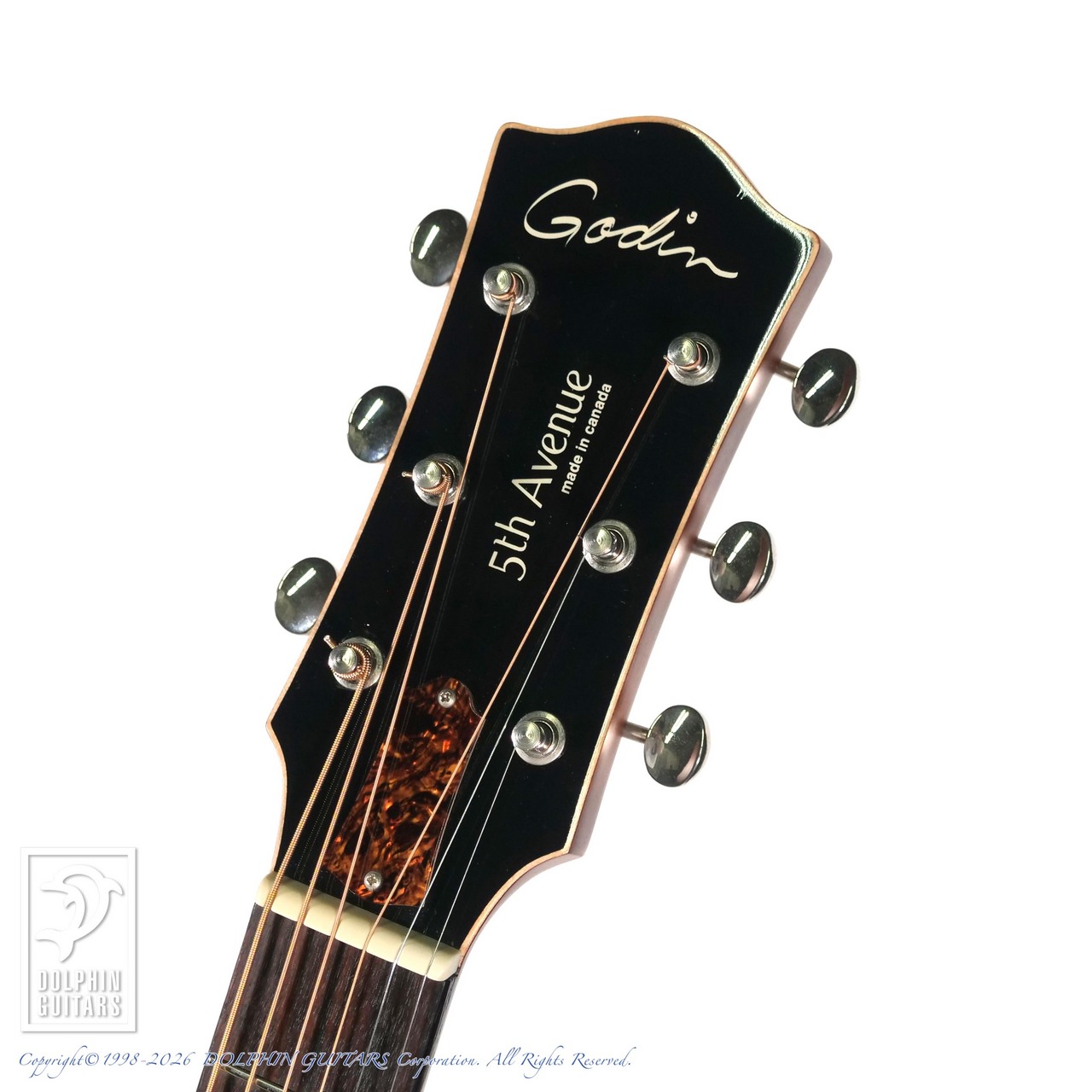 Godin 5th Avenue Kingpin（中古）【楽器検索デジマート】