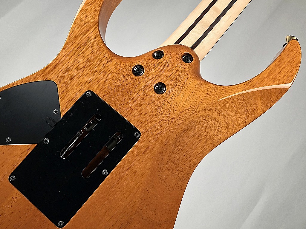 Ibanez 【日本製】【Ibanezの最高峰モデル j.custom】RG8570MH
