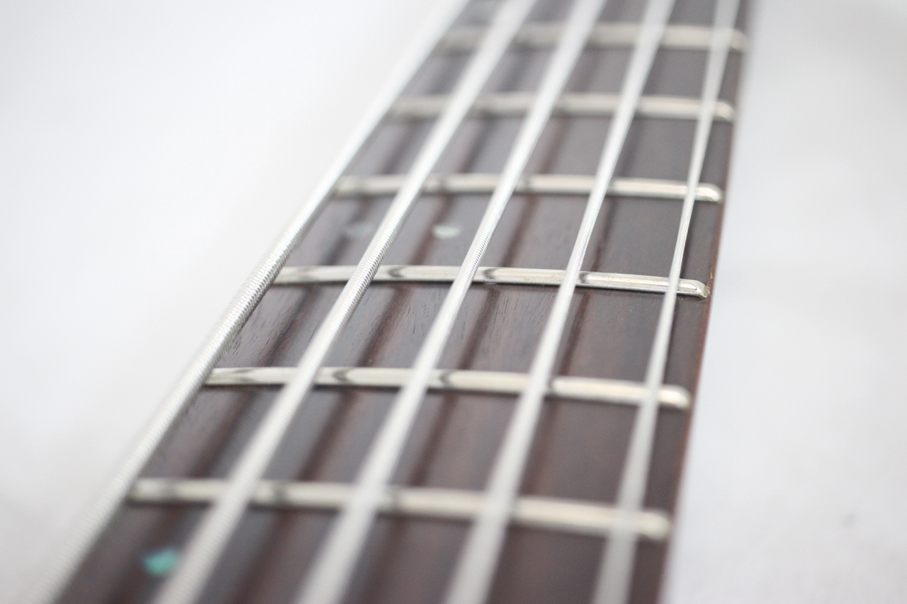 【生産終了モデル】GRASSROOTS G-D5-80 5弦アクティブベース G-D5-80 | ESP GUITARS