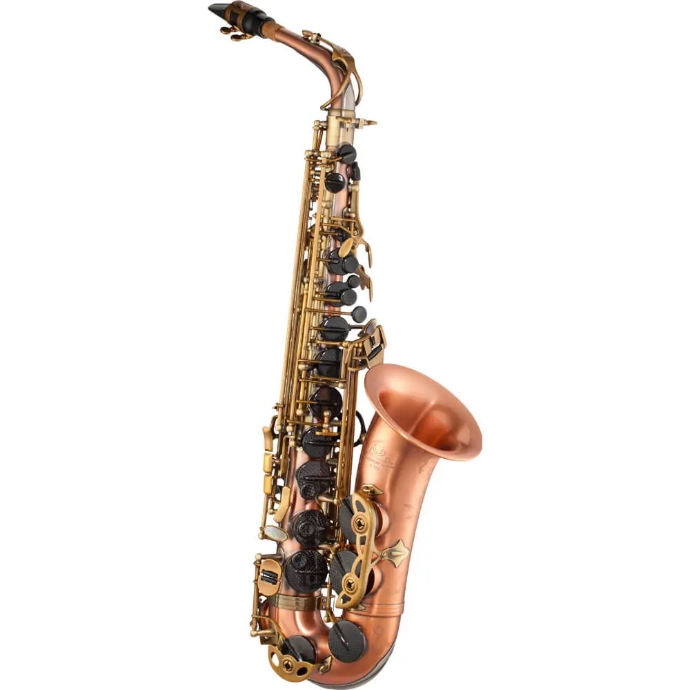 LC SAXOPHONE A-803CB/Pioneer アルトサックス ビックベル（新品/送料
