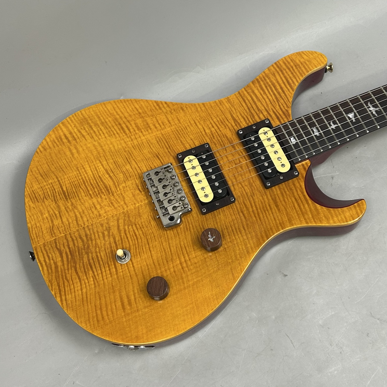Paul Reed Smith(PRS) SE Custom 24 Flat Top 2011年製（中古