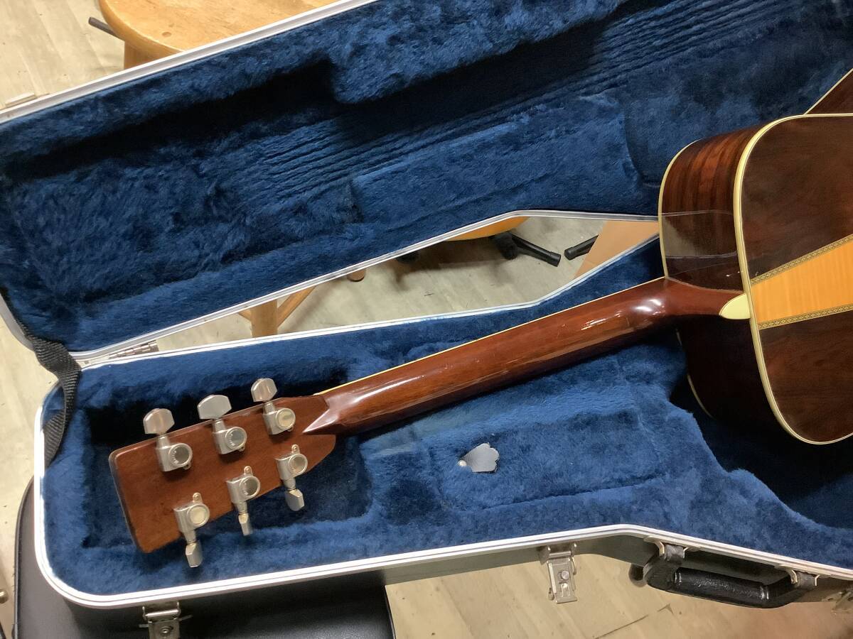 Morris TF-805 モーリス（中古）【楽器検索デジマート】