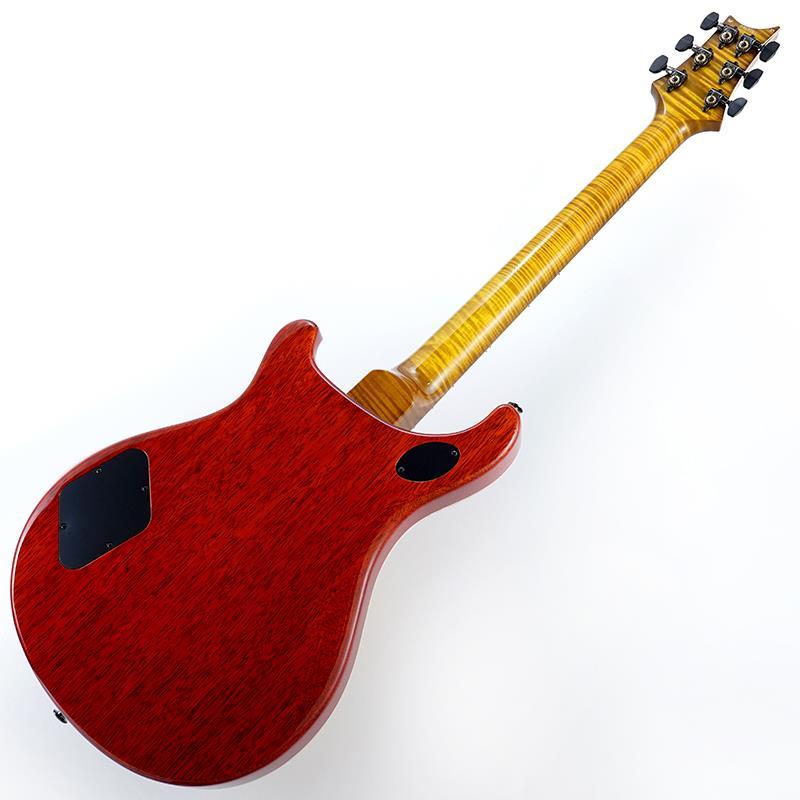 Paul Reed Smith(PRS) Wood Library McCarty 594 Semi-Hollow (McCarty
