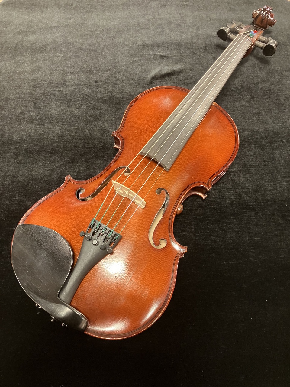 David Gage 【エレキバイオリン】 RV5e 【5弦バイオリン】【無金利