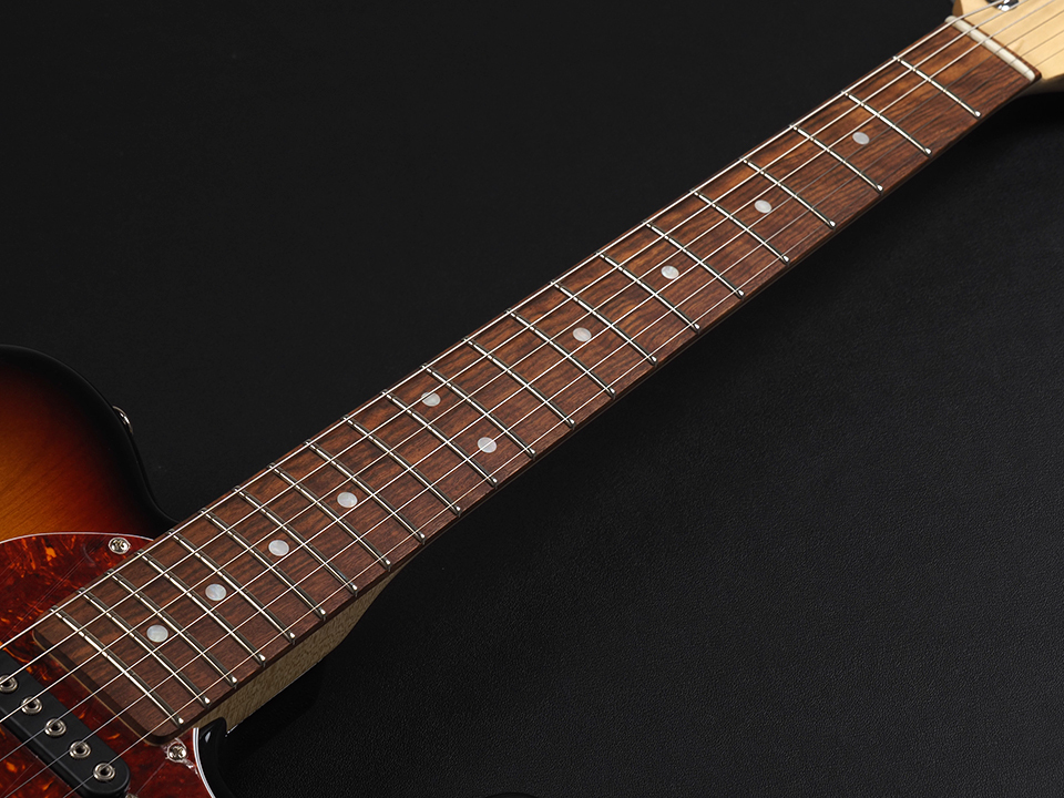 G&L Limited Asat Classic Thinline ~3-Tone Sunburst~（新品特価/送料