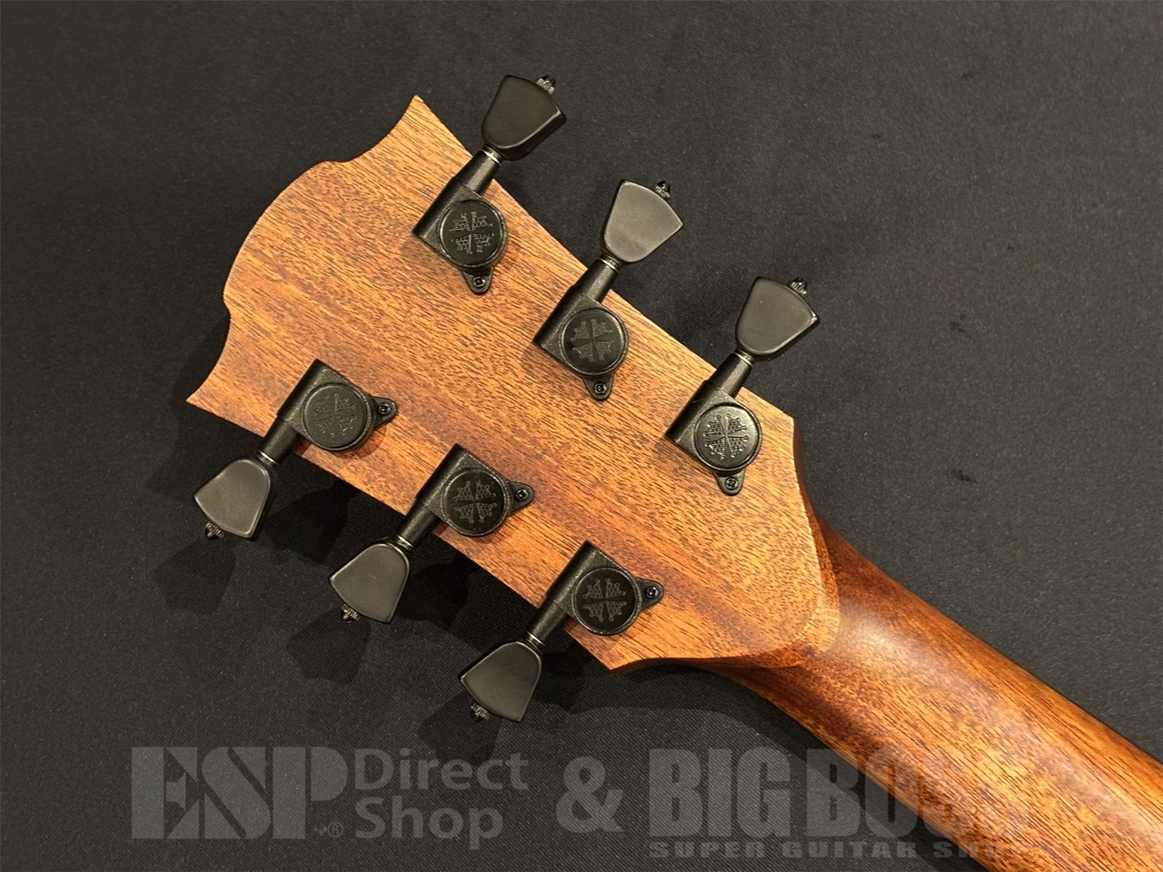 LAG Guitars T118ASCE / Black（新品/送料無料）【楽器検索