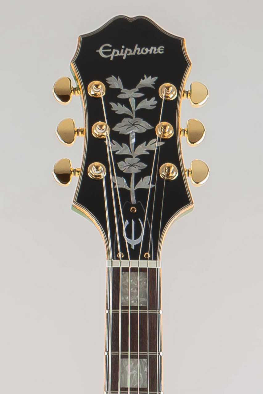 Epiphone Emperor Swingster/Forest Green Metallic（新品特価/送料