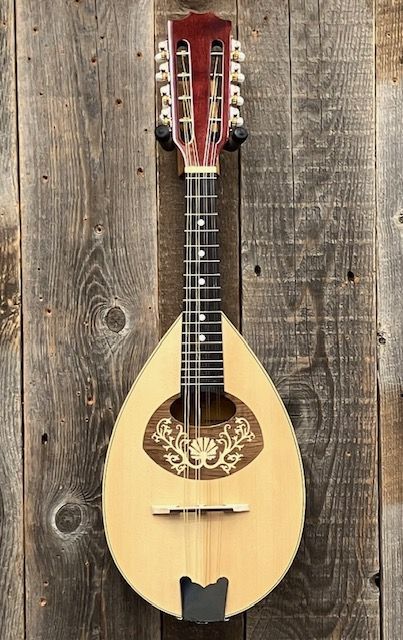 HORA Mandoport II M1086【マンドリン】（新品）【楽器検索デジマート】