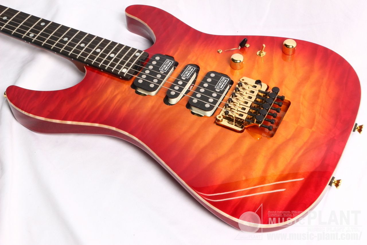 SCHECTER EX-5B-24-CTM-FTR-PFN/CHSB/E(新品/送料無料)【楽器 SCHECTER EX-5B-24-CTM-FTR-PFN/CHSB/E(新品/送料無料)【楽器