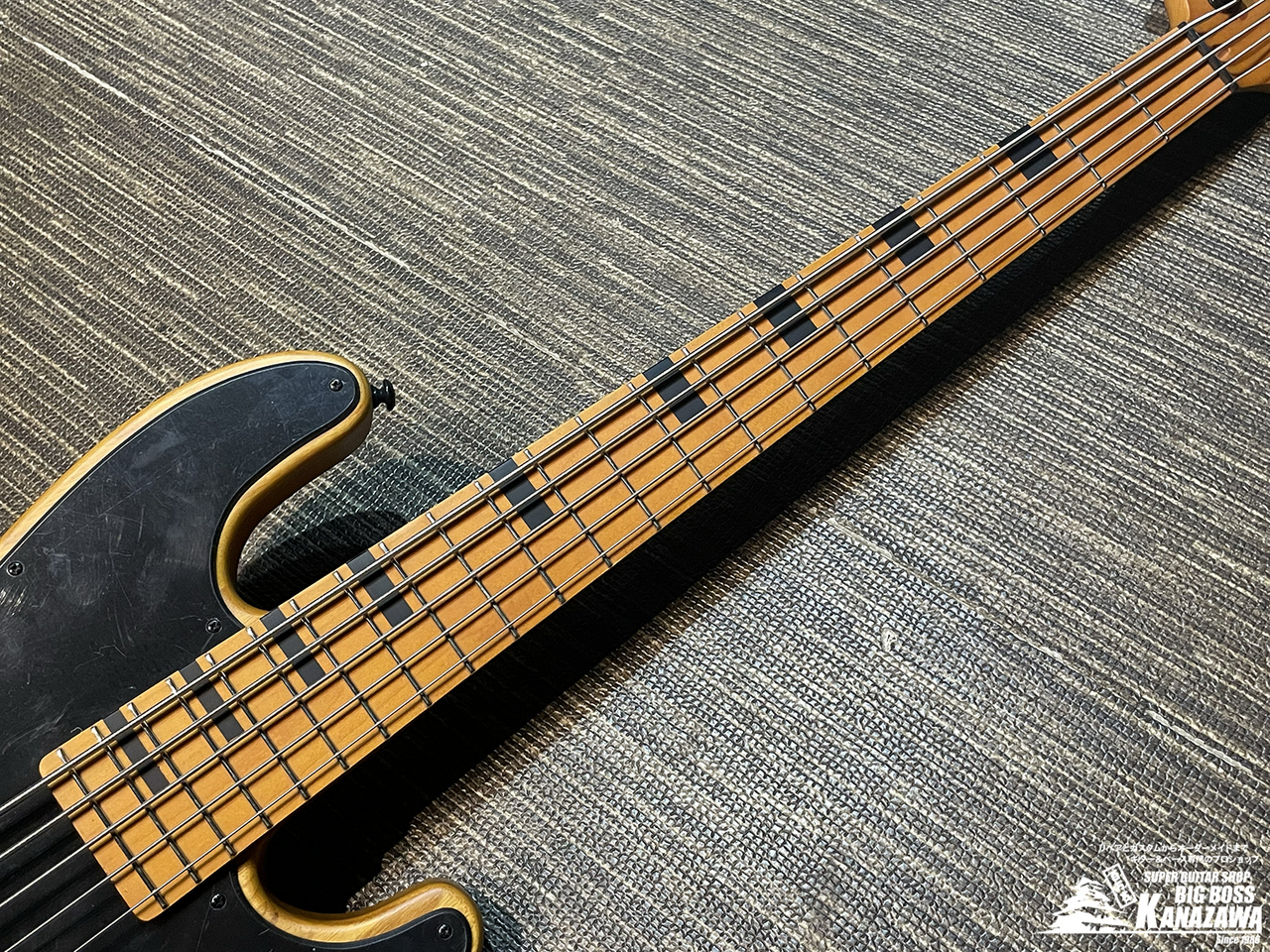 SCHECTER MODEL-T SESSION 5 [AD-MT-SS-5]【希少なTLベース5弦