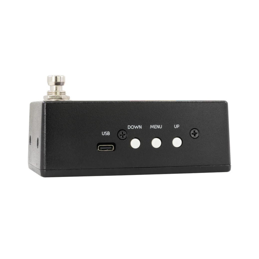 WALRUS AUDIO Canvas Tuner（新品/送料無料/並行輸入）【楽器検索