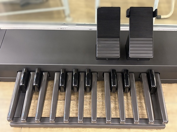 YAMAHA ELS-02C #2（中古）【楽器検索デジマート】