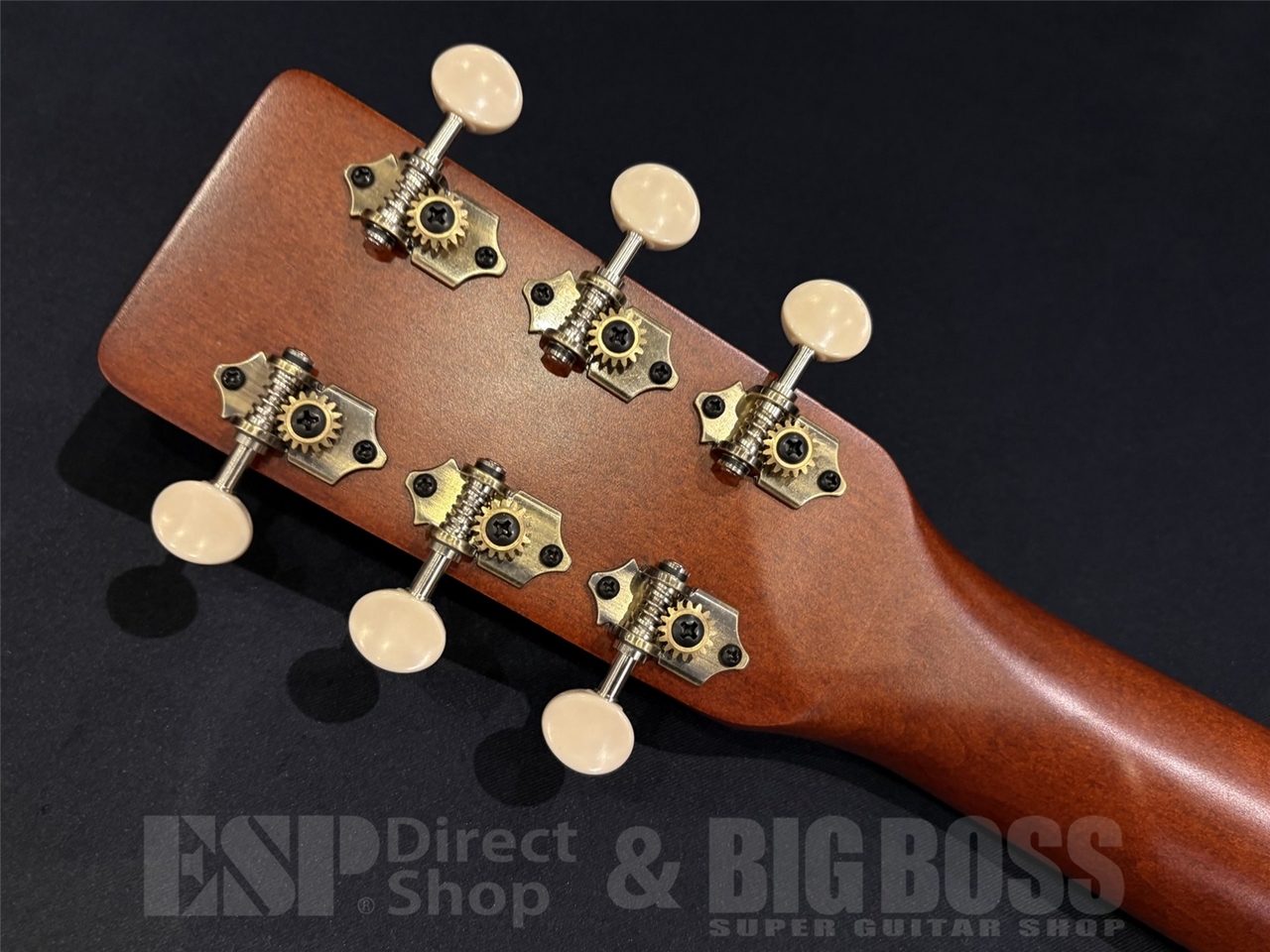 Art&Lutherie Legacy Q-Discrete / Havana Brown （新品/送料無料