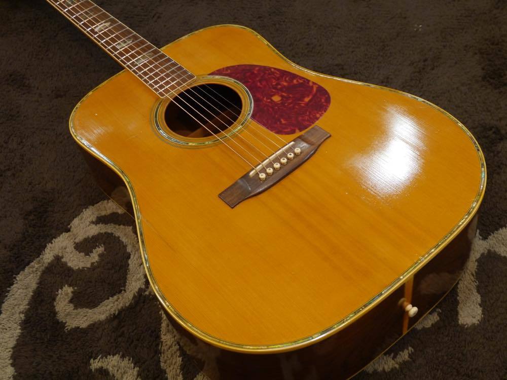 Takamine ELITE TW-100（中古）【楽器検索デジマート】