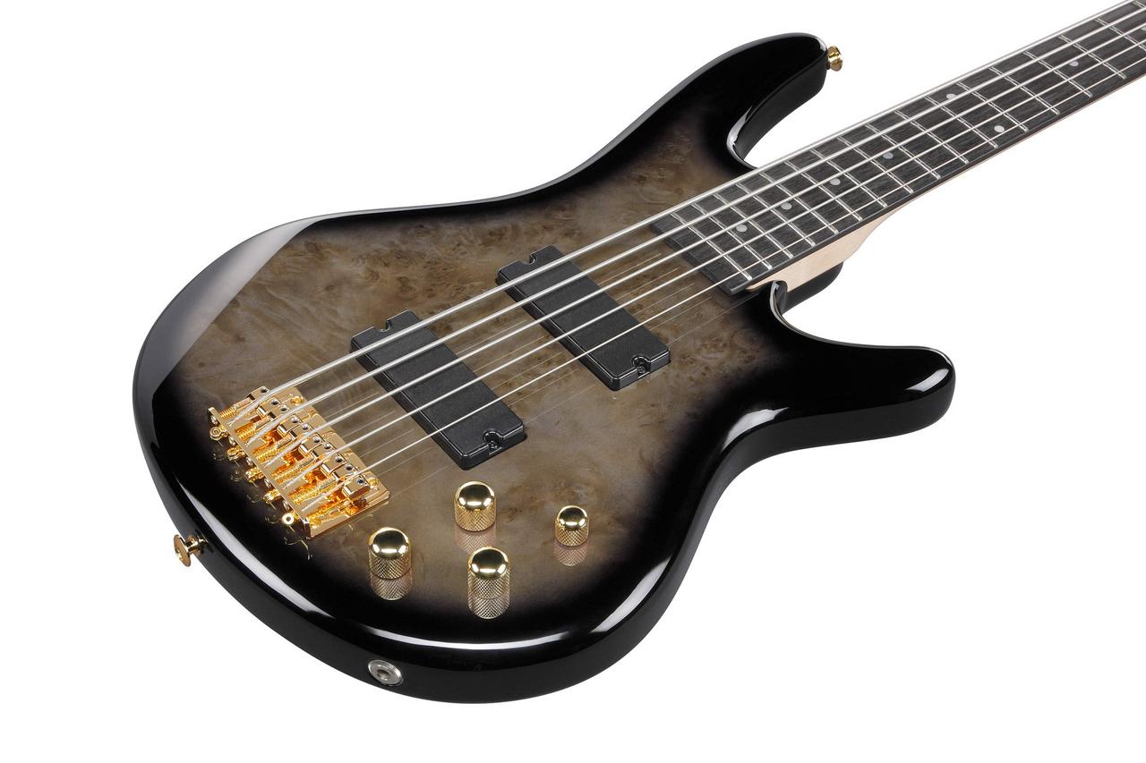 Gio Ibanez GSR205PC Transparent Pale Black Burst エレキ