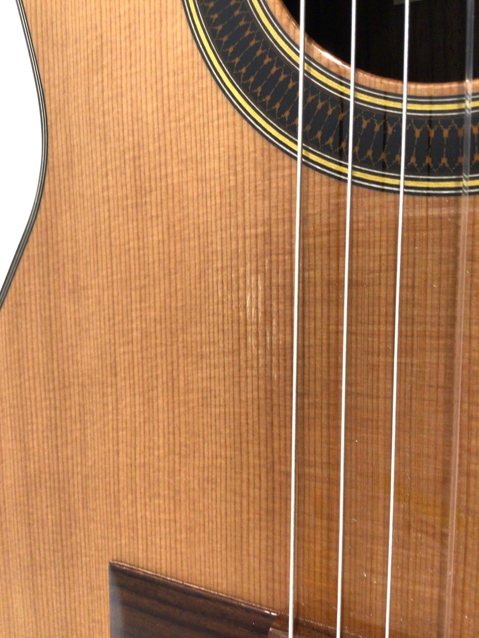 ARANJUEZ 710【Cedar】（新品/送料無料）【楽器検索デジマート】