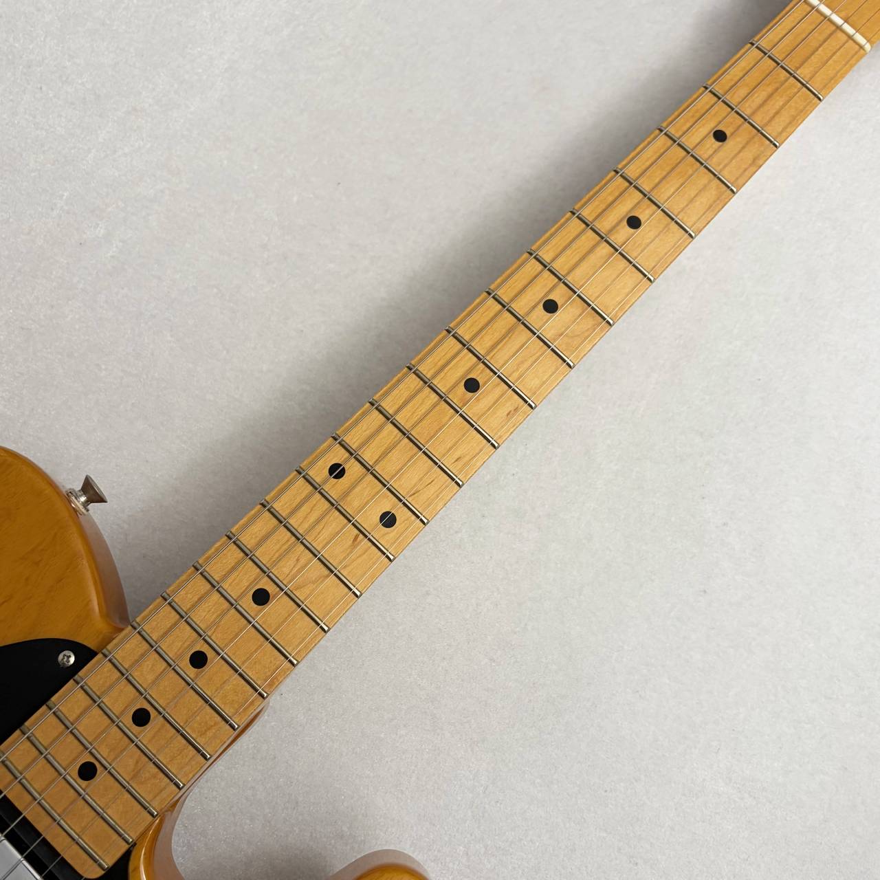 FUJIGEN(FGN) NCTL-10M/ASH ~Vintage Natural~ ≒3.45kg【2008年製USED