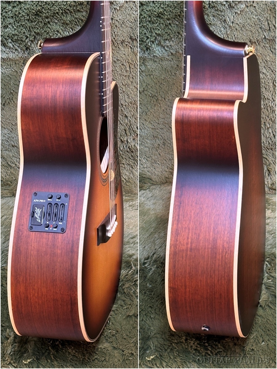 MATON 【Limited Color】EBG808C Artist Teardrop Tobacco