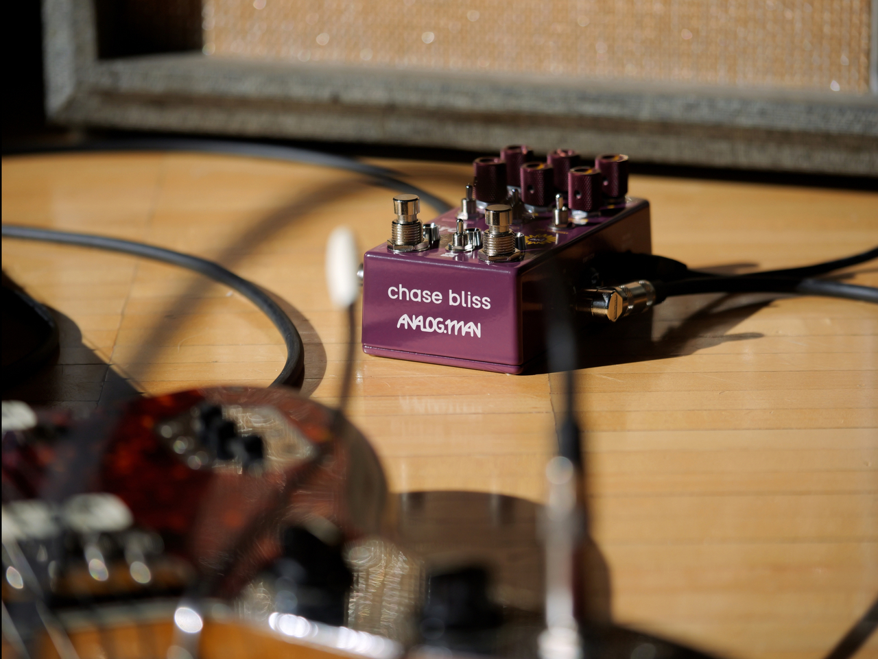 Chase Bliss Audio Brothers AM（新品）【楽器検索デジマート】