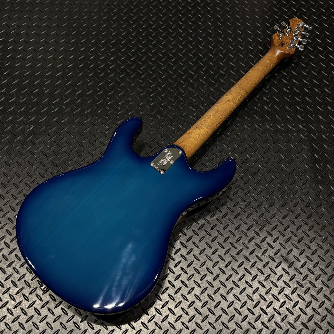 MUSIC MAN 【米国買付品】STEVE MORSE SIGNATURE（新品/送料無料