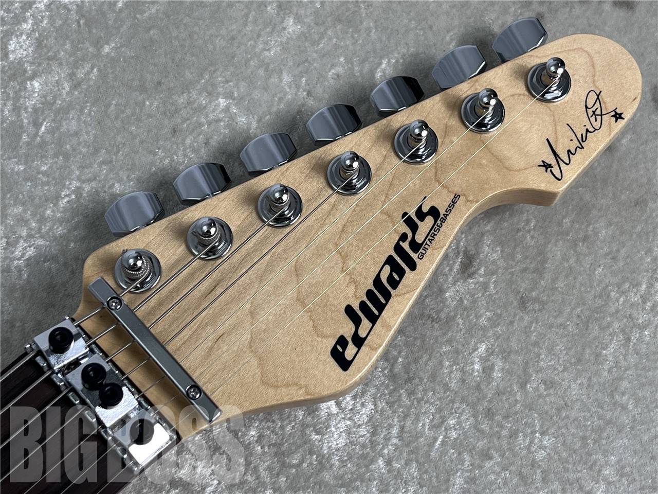 EDWARDS E-SNAPPER-7 Fujioka Custom 藤岡幹大 EDWARDS E-SNAPPER-7 Fujioka Custom（新品/送料無料）【楽器検索