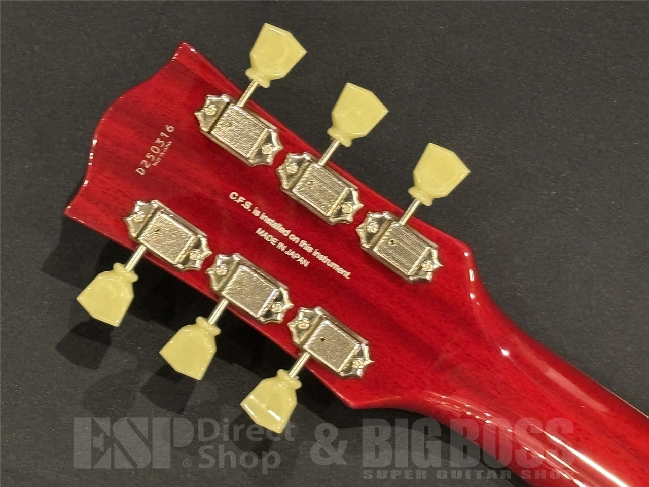 FGN エレキギター レッド FUJIGEN(FGN)、赤 系のエレキギター検索結果一覧 | 【クロサワ楽器店