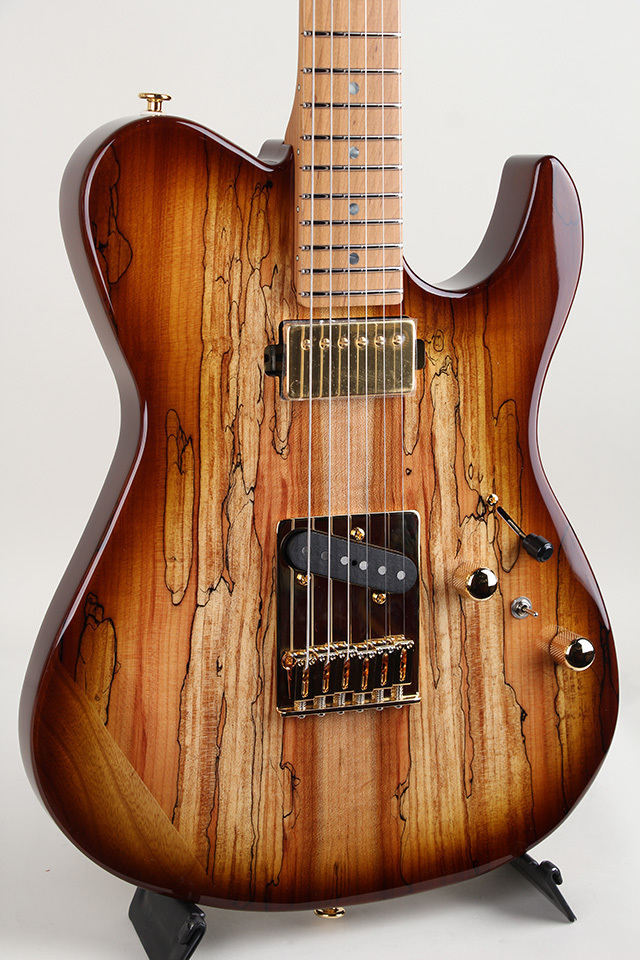 美品　フジゲン　fujigen テレキャスター EIL-EW1-HS-RM EIL-EW1-HS-RM / FGN Guitars