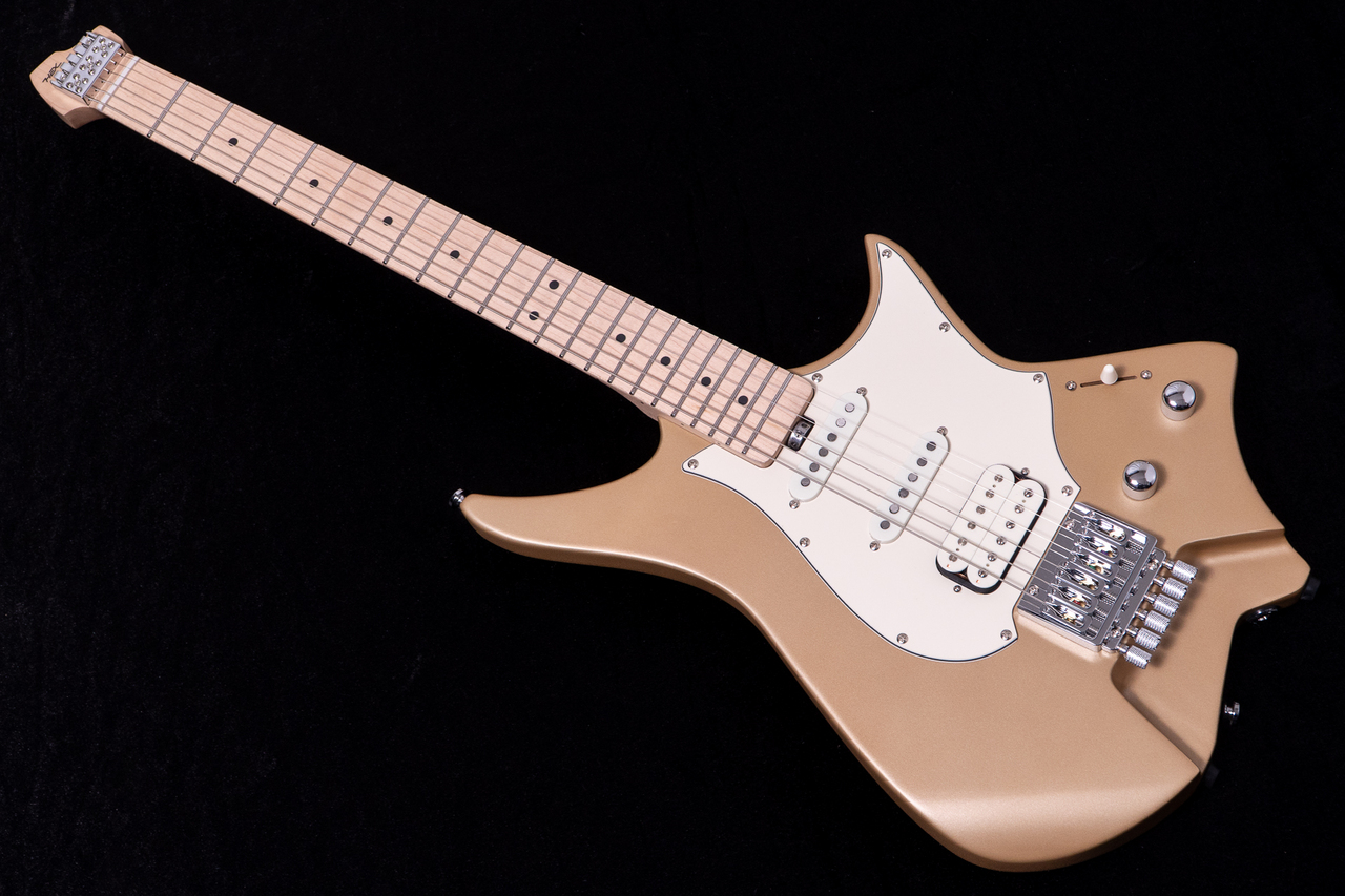 HEX Guitars NS100M S/SS（新品/送料無料）【楽器検索デジマート】