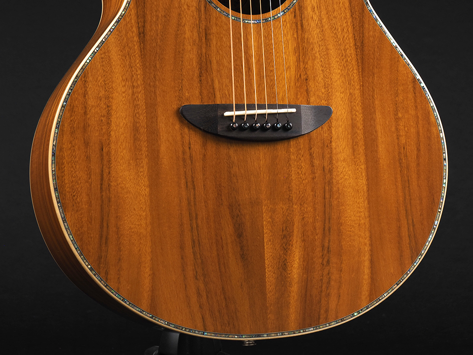 DCT GR-645K CE ~Natural Gloss~（新品/送料無料）［デジマートSALE
