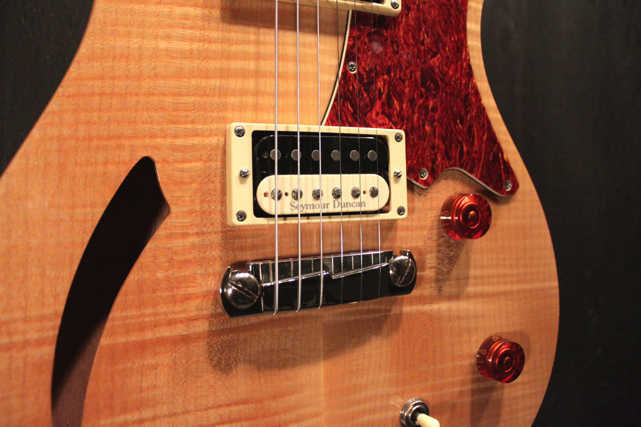 Paul Reed Smith(PRS) SE Custom 22 Semi Hollow 2010（中古）【楽器