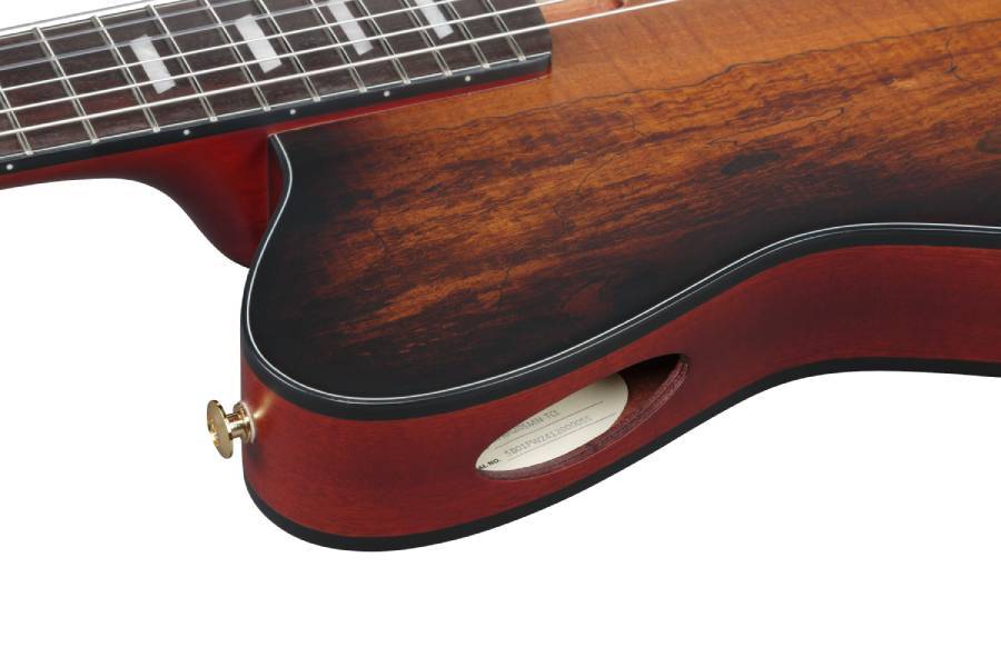 Ibanez FRH20SMN -TCL (Tobacco Burst Low Gloss)-《エレガット