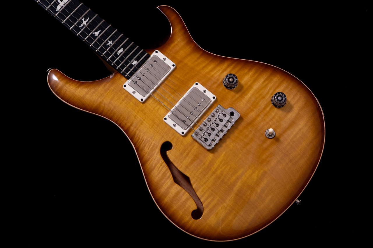 Paul Reed Smith(PRS) CE 24 Semi-Hollow Custom Configuration-LL