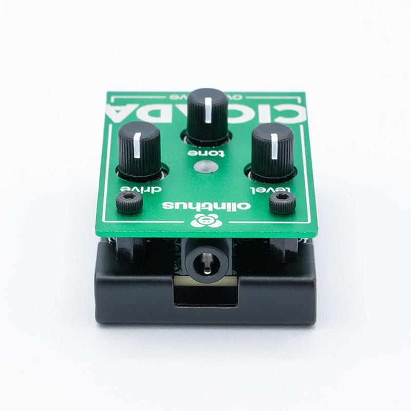 Olinthus CICADA（オーバードライブ）（新品）【楽器検索デジマート】