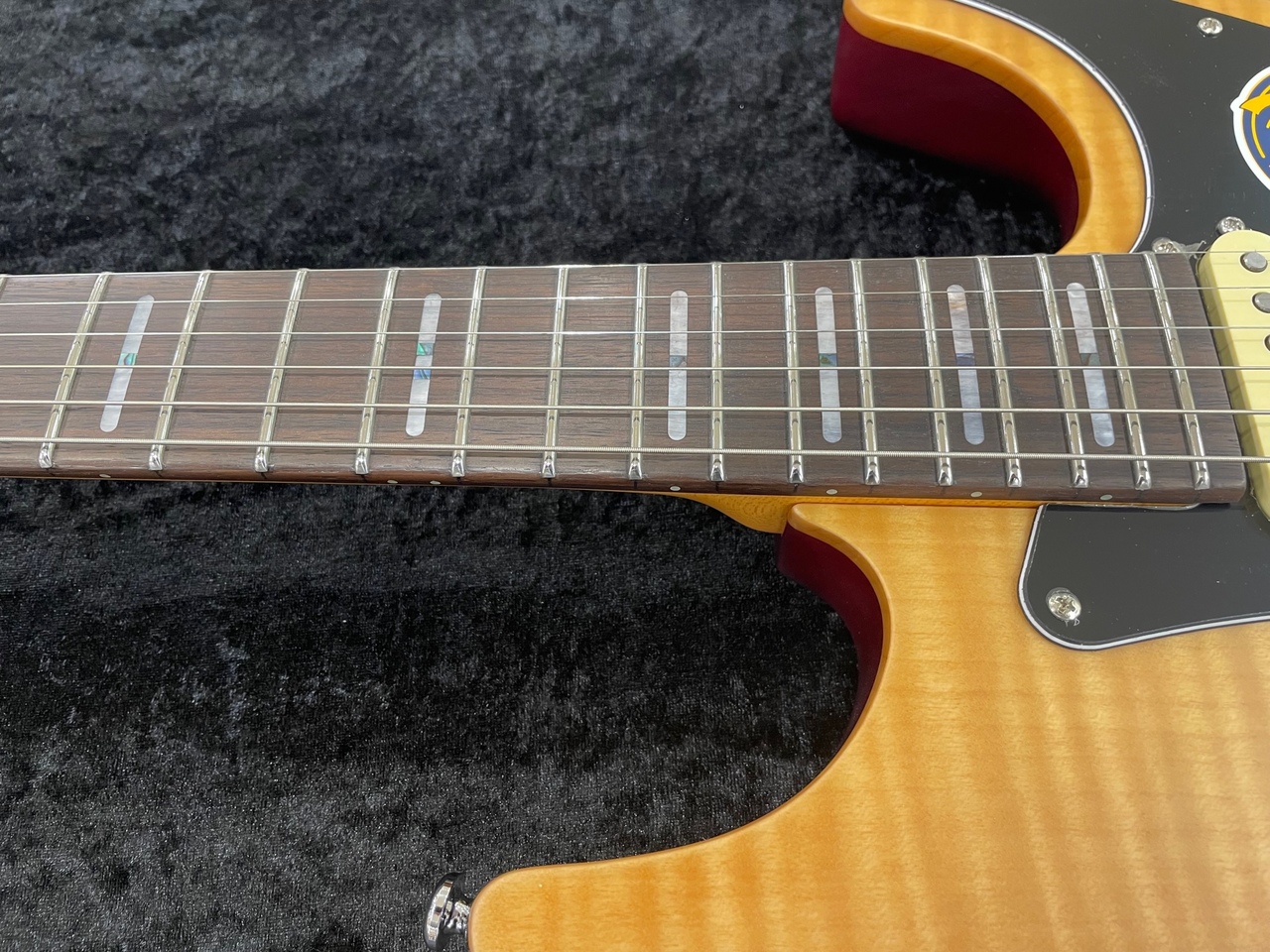 Sire Larry Carlton S7 FM New Gen NT/R（新品/送料無料）【楽器検索