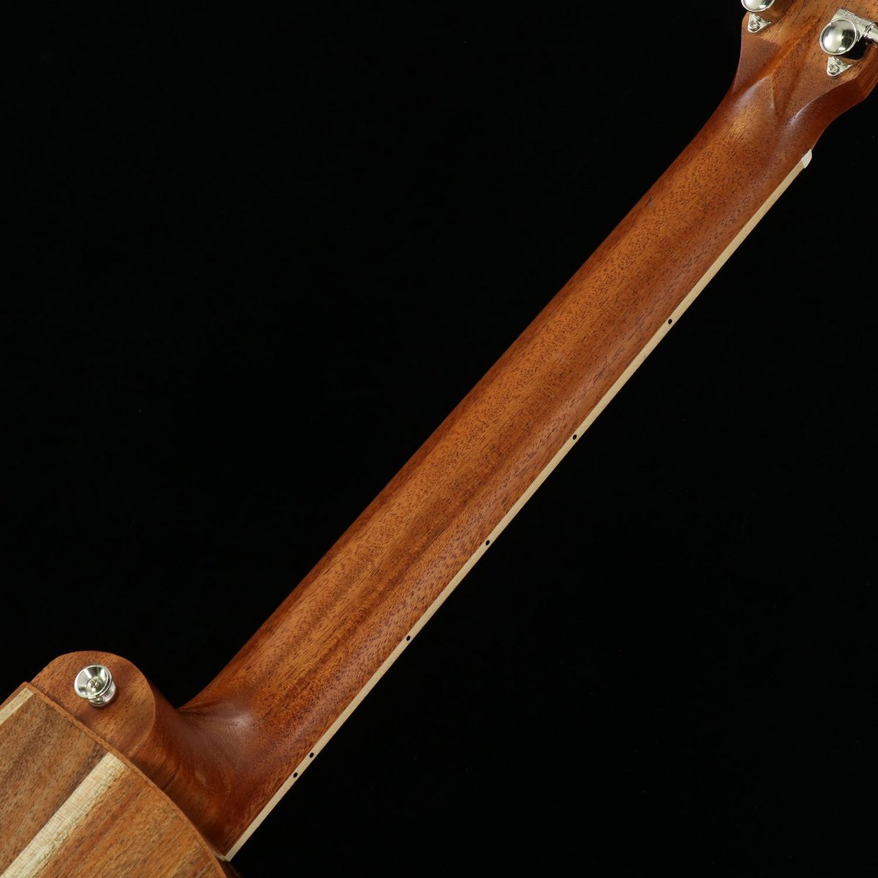 Cole Clark (オール単板) 311tV2cCeLL.jpg