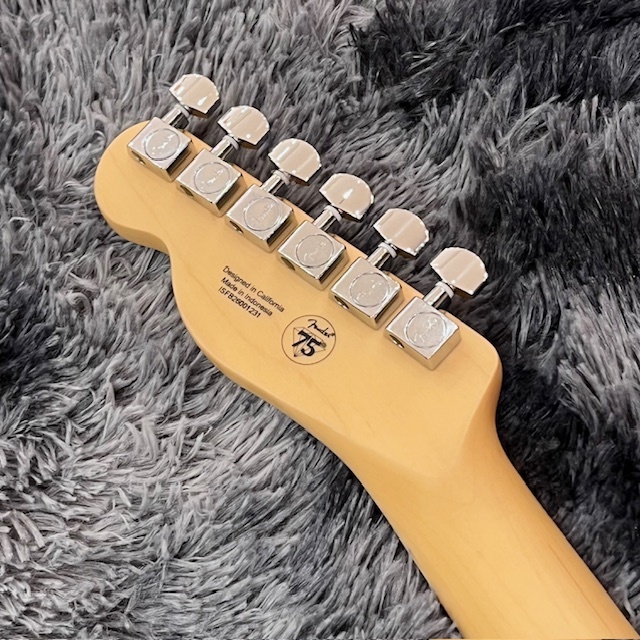 Fender Standard Telecaster, Maple Fingerboard, Black Pickguard