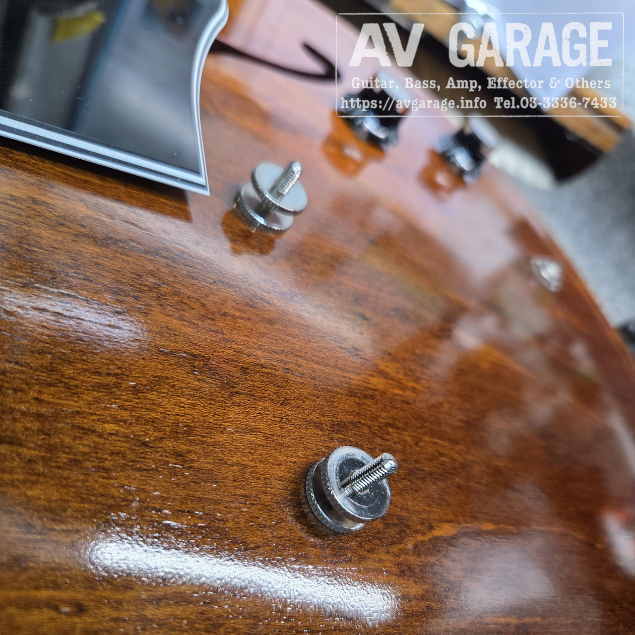 KING SNAKE Swamp Dirty Walnut 2020年代フジゲン製（中古）【楽器検索