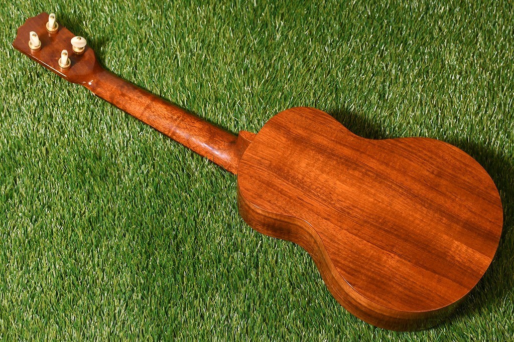 G String G String CONCERT HawaiianKoa【USED/#MB61046】（中古