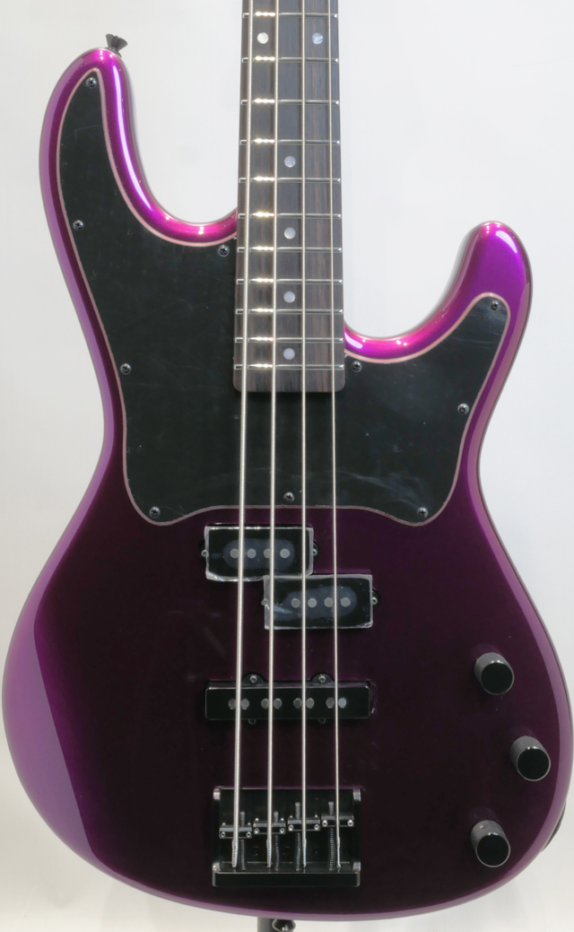 FREEDOM CUSTOM GUITAR RESEARCH C.S Blowzer 4st Succubus (SCB